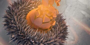 Ce n-a văzut Aleșd-ul de 50 de ani…Invitați la Big Bang