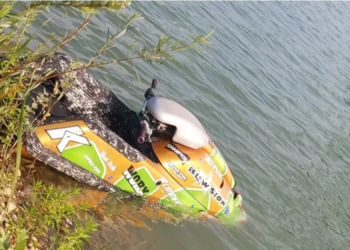 Tânăr de 29 de ani, mort decapitat. Se plimba cu skijetul pe suprafața de apă a unei balastiere