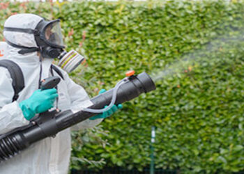 Încep dezinsecțiile. Orădenii sfătuiți să nu stea în raza de acțiune a utilajelor în timp ce acestea pulverizează insecticide