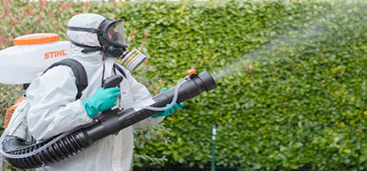 Încep dezinsecțiile. Orădenii sfătuiți să nu stea în raza de acțiune a utilajelor în timp ce acestea pulverizează  insecticide