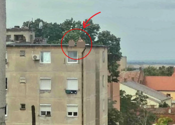 Două exhibiționiste, plajă nud pe bloc