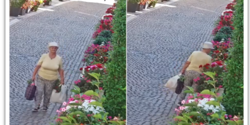 VIDEO. Orădeancă surprinsă duminică, în plină zi, furând flori din zona Episcopiei Greco-Catolice