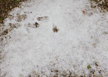 GALERIE. Grindina cât oul a făcut prăpăd la Zece Hotare. Bihorul sub cod galben de furtuni