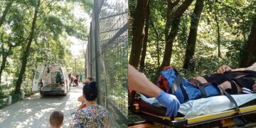 Bărbat muşcat de tigru la Zoo Bârlad / Şi-a băgat piciorul în cuşca animalului