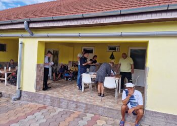 Control în azilul de la Tinca a lui Viorel Pașca: Au căutat și în podurile și beciurile caselor pentru a vedea probabil dacă nu ascund pe-acolo ceva. Au pozat și muște și tot ce li s-a părut a fi în neregulă atrăgându-mi mereu atenția ba de una, ba de alta