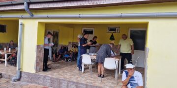 Control în azilul de la Tinca a lui Viorel Pașca: Au căutat și în podurile și beciurile caselor pentru a vedea probabil dacă nu ascund pe-acolo ceva. Au pozat și muște și tot ce li s-a părut a fi în neregulă atrăgându-mi mereu atenția ba de una, ba de alta