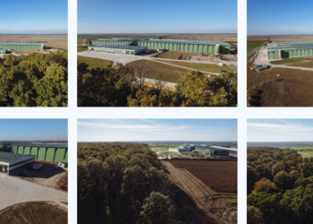 Cine deține firma din Gurbediu care face cele mai mari exporturi de ouă din România
