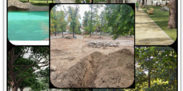 Ce promite Dumexim că face de 7 milioane de lei în Parcul Petőfi din Oradea. Gata în 12 luni