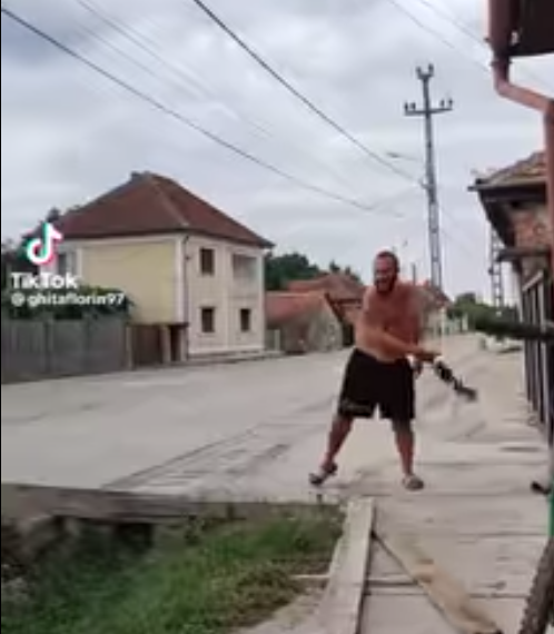 S-a filmat în timp ce trântea o pisică de trotuar. Tânăr de 23 de ani, reținut pentru schinguire