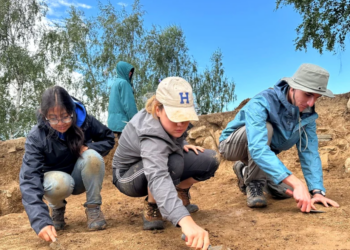 Scheletul dezmembrat al unui bărbat, descoperit în Apuseni