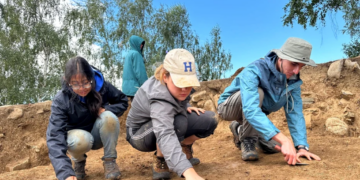 Scheletul dezmembrat al unui bărbat, descoperit în Apuseni