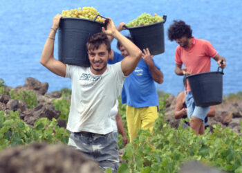 Ungaria oferă 300.000 de locuri de muncă pentru străini