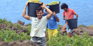 Ungaria oferă 300.000 de locuri de muncă pentru străini