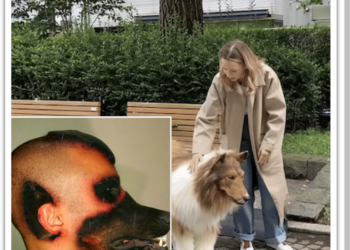 VIDEO. Omul care a cheltuit o avere să devină câine, prima ieșire în public