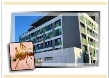 Bihoreancă de 62 de ani, moartă în spital, infectată cu virusul West Nile