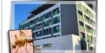 Bihoreancă de 62 de ani, moartă în spital, infectată cu virusul West Nile