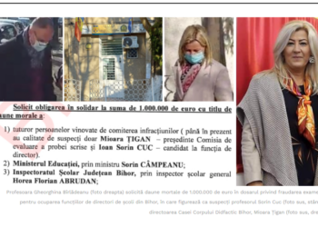 Ministerul Educației, parte civilmente responsabilă în dosarul fraudării concursului de directori, în care profesoara Bîrladeanu cere daune morale de 1 milion de euro