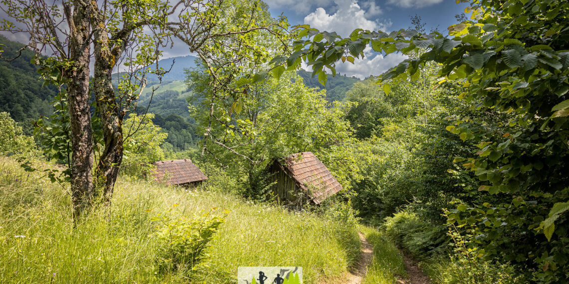 Stațiune din Bihor promovată cu campioni la Budureasa Mountain Running 2023