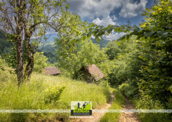 Stațiune din Bihor promovată cu campioni la Budureasa Mountain Running 2023