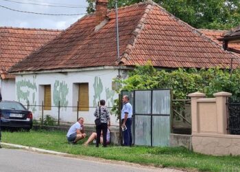 Femeia din Ineu, care și-a omorât tatăl, trimisă în judecată