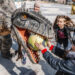 55 de dinozauri animatronici de dimensiuni reale în Parcul Cetății Oradea