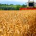 275,4 milioane euro solicitați la APIA ca sprijinul de urgență pentru sectorul cerealelor și cel al semințelor oleaginoase