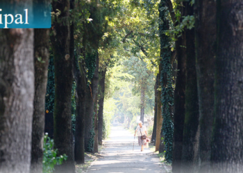 50 de lei ca să intri cu mașina în cimitirul municipal de 1 noiembrie