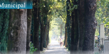 50 de lei ca să intri cu mașina în cimitirul municipal de 1 noiembrie