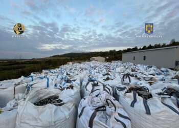 Bihorenii arestați preventiv în dosarul gunoaielor aduse din Franța și Italia și depozitate la Lugaș, eliberați azi de Curtea de Apel Timișoara