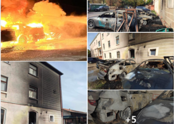 Incendiu violent la Ștei. Focul pus de o persoană. Trei mașini făcute scrum