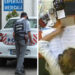 Doctorița Emilia Mariana Cun scapă de pedeapsă. Curtea de Apel Oradea a dispus încetarea procesului pe prescripție