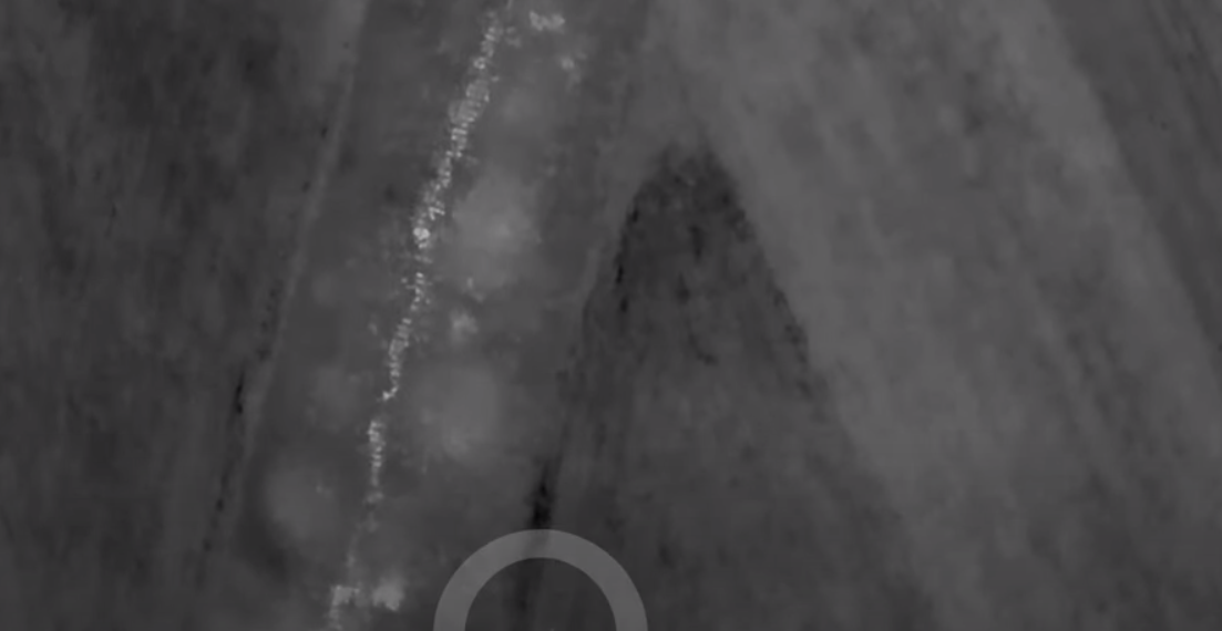 Ursul localizat cu drona lângă President. Când a văzut farurile jandarmilor s-a făcut nevăzut în pădure