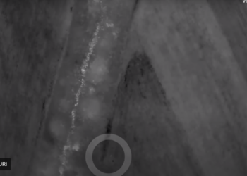 Ursul localizat cu drona lângă President. Când a văzut farurile jandarmilor s-a făcut nevăzut în pădure