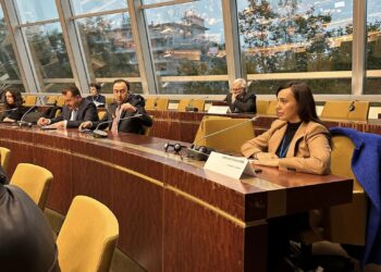 Primarul de Căbești, vicepreședinte al Comisiei pentru Afaceri Curente din cadrul Congresului Puterilor Locale şi Regionale al Consiliului Europei