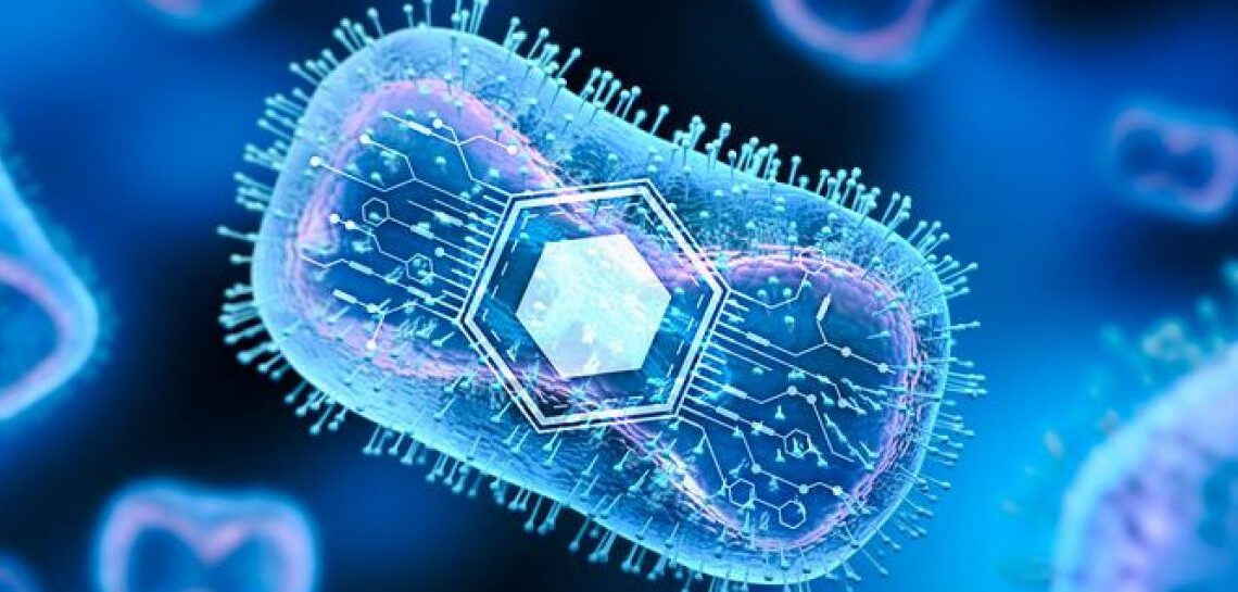 Bacterii contra cancer. Terapia cu o singură doză de tratament care să nu coste mai mult de un dolar