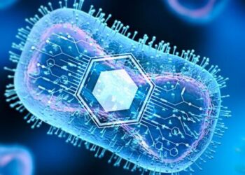 Bacterii contra cancer. Terapia cu o singură doză de tratament care să nu coste mai mult de un dolar