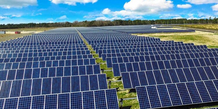 4 oferte pentru construirea parcului fotovoltaic de 65 de milioane de lei. Primăria Oradea vrea să vândă energie verde