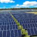 4 oferte pentru construirea parcului fotovoltaic de 65 de milioane de lei. Primăria Oradea vrea să vândă energie verde