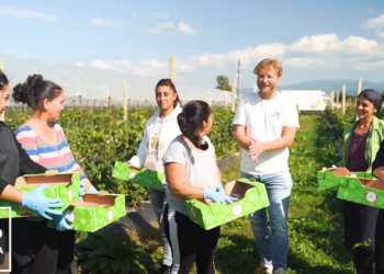 VIDEO. Cooperativa Grădina Noastră din Beiuș, inițiată de Dumitru Gal, lider de piață la nivel național pe fructe de pădure. A început cu o dubiță care nu era plătită, iar primul furnizor i-a dat bani de motorină