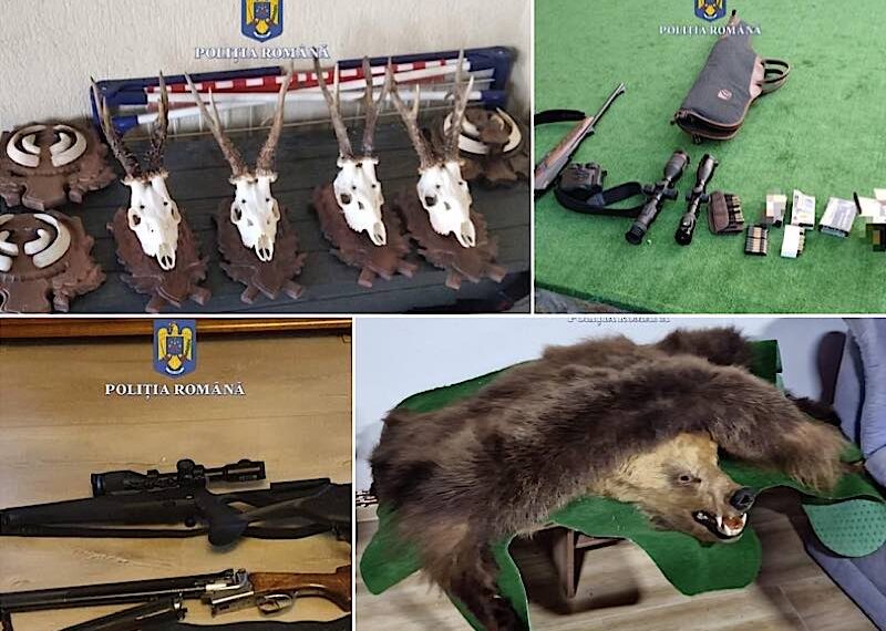 Vip-urile din dosarul de braconaj, libere. Totul a început cu un foc de armă tras la miezul nopții în Tinca