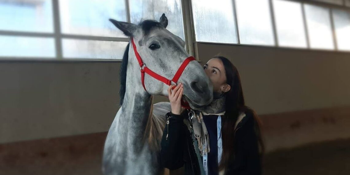 Legătură specială cu calul Maya. O studentă dă recompensă o bursă pentru a găsi calul care e bolnav