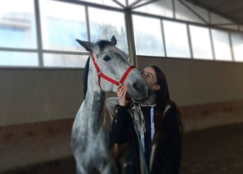 Legătură specială cu calul Maya. O studentă dă recompensă o bursă pentru a găsi calul care e bolnav