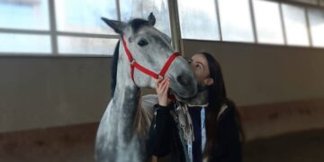 Legătură specială cu calul Maya. O studentă dă recompensă o bursă pentru a găsi calul care e bolnav