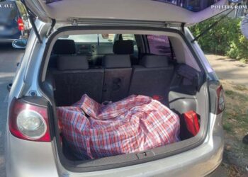 Curtea de Apel Oradea desființează decizia Tribunalului Satu Mare în cazul unui dintre tineri prinși că ducea canabis cu portbagajul, acuzat de 10 fapte de trafic de droguri de risc și mare risc