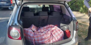 Curtea de Apel Oradea desființează decizia Tribunalului Satu Mare în cazul unui dintre tineri prinși că ducea canabis cu portbagajul, acuzat de 10 fapte de trafic de droguri de risc și mare risc