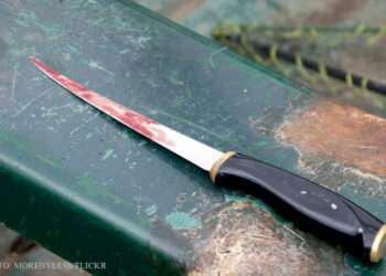 Femeia din Aleșd care și-a omorât fostul iubit înțepându-l cu cuțitul în inimă rămâne cu pedeapsa de 7 ani de închisoare. Femeia și-a regretat fapta