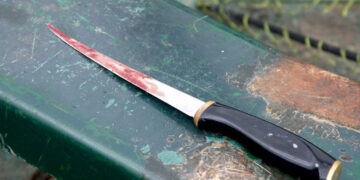 Femeia din Aleșd care și-a omorât fostul iubit înțepându-l cu cuțitul în inimă rămâne cu pedeapsa de 7 ani de închisoare. Femeia și-a regretat fapta