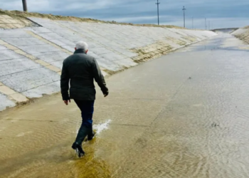 167 km de canale din Bihor ar putea avea dublă utilizare: desecare și irigații. Pentru a pune în practică proiectul a trebuit modificată legea