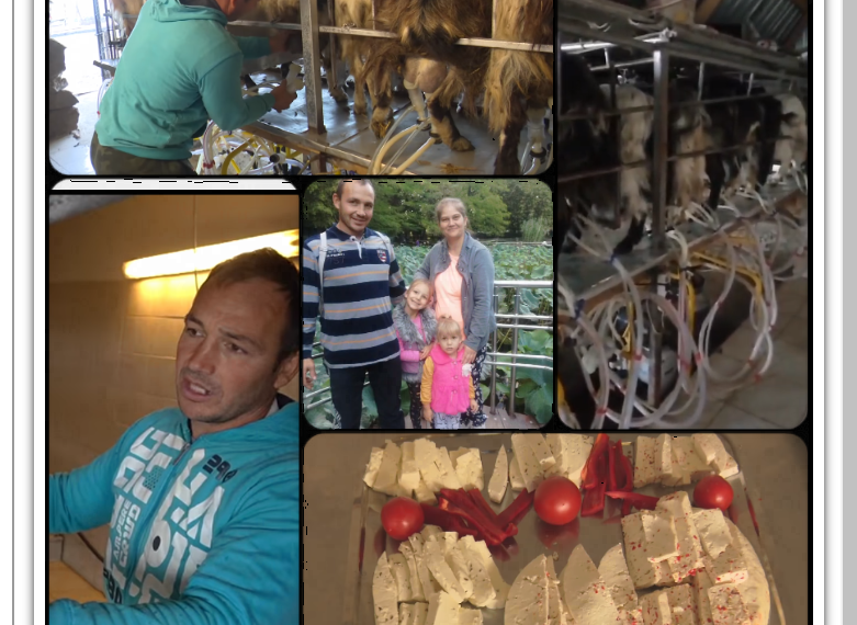 Una dintre cele mai mari și moderne ferme de creștere a caprelor din România e a bihoreanului Ovidiu Korpai. Și-a construit singur rampa de muls și are și o manufactură de brânzeturi