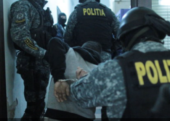 Percheziții la firme din Bihor  bănuite de evaziune fiscală și rambursări ilegale de TVA. Acțiunea polițiștilor vizează documentarea a două cauze penale